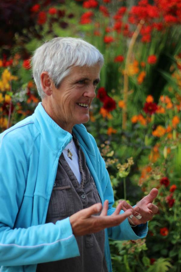 June Blake'S Garden Blessington Ngoại thất bức ảnh